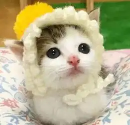  这只小猫不敢自己睡觉,于是每次叫唤几声之后...