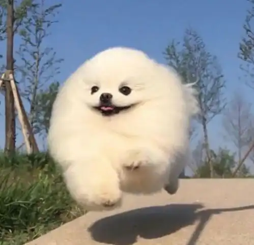  大家都怎么查找外文文献啊更新