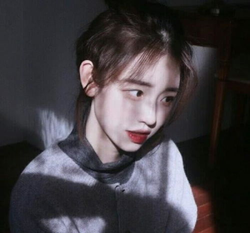 全网超火森系女生头像揽你星河