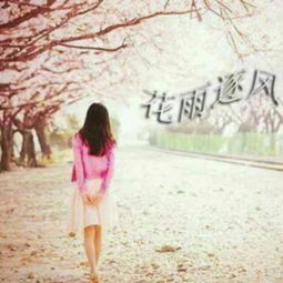  流光飞舞花雨逐风唱吧,最时尚的