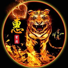  虎啸狮吼,霸气火焰姓氏头像16款,燃烧你的热情