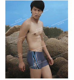  三奇2011新款男士泳裤sq12317