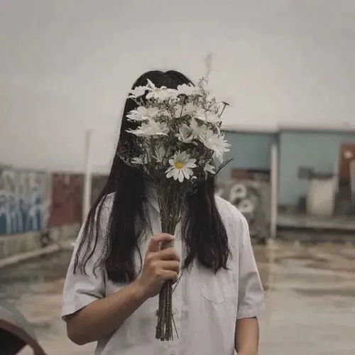  情侣头像情侣头像双人不露脸,貔貅见日没
