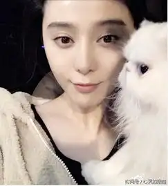 抱猫的情侣头像范冰冰