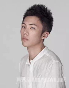 男生头发硬适合什么发型才够man