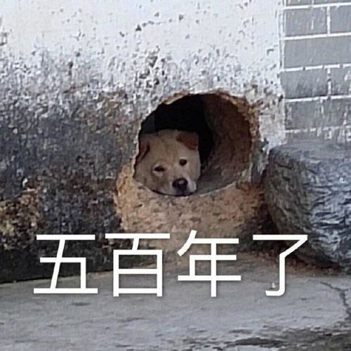  幽默笑话一哥们问我,女生叫他滚的时候怎么办