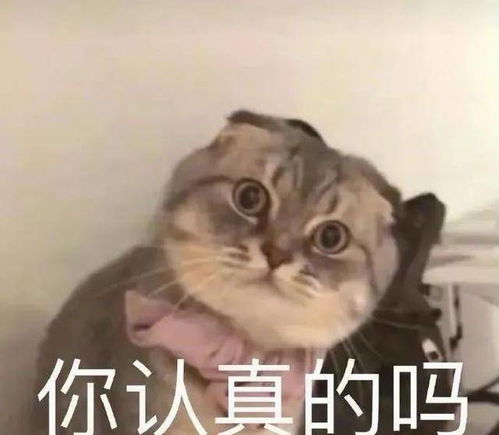  不同身高女生的穿搭模板照着穿就对了,好看又显高