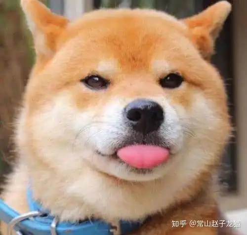  母乳够吃的情况下还有必要混合喂养吗