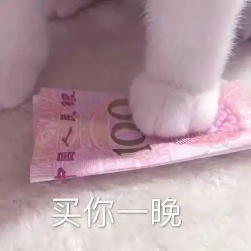  买你一晚猫爪表情包谁有吖快分享一下吧