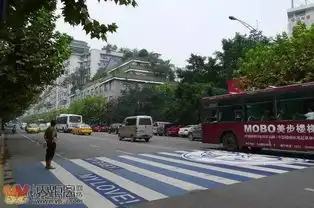  宜宾清华街来了一群蓝胖子,一夜之间火遍全城,没想到你是这样的小可爱