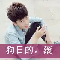  狗头像字母微信头像图片大全