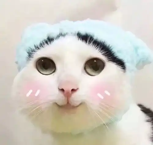  有哪些独特的情侣网名