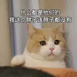  适合情侣用的萌宠表情包,萌出天际