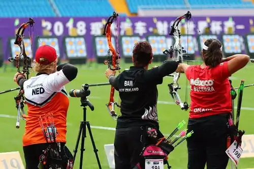  女子复合弓现世界第一为浦东打call跨国情侣因射箭走到一起