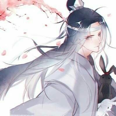  魔道祖师当媳妇变成了动物六忘羡,曦澄,晓薛