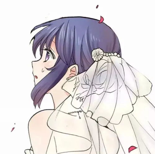  情头书上说每个女孩都是公主