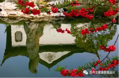  情人节不完全自救指南