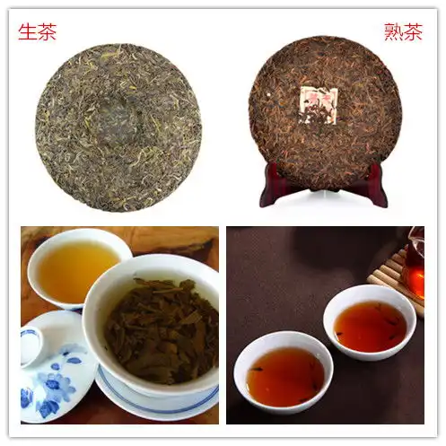  八角亭雀沱茶明山普洱生茶的精致风味