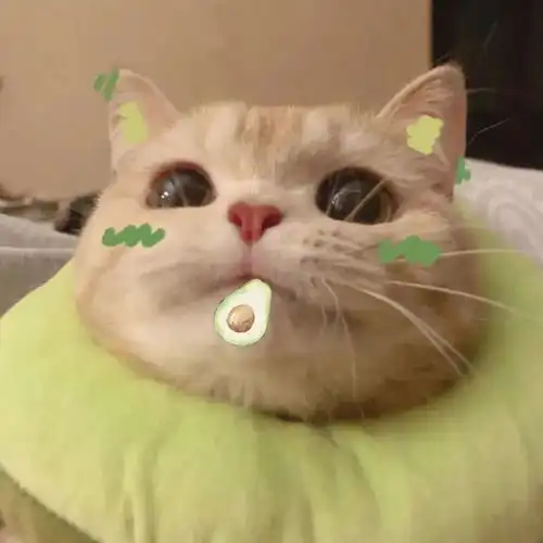  情侣头像丨当你有一个高颜值的男朋友时