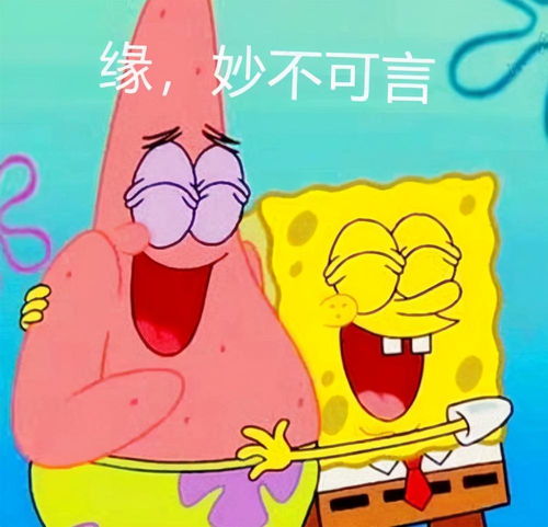 女生海绵宝宝头像
