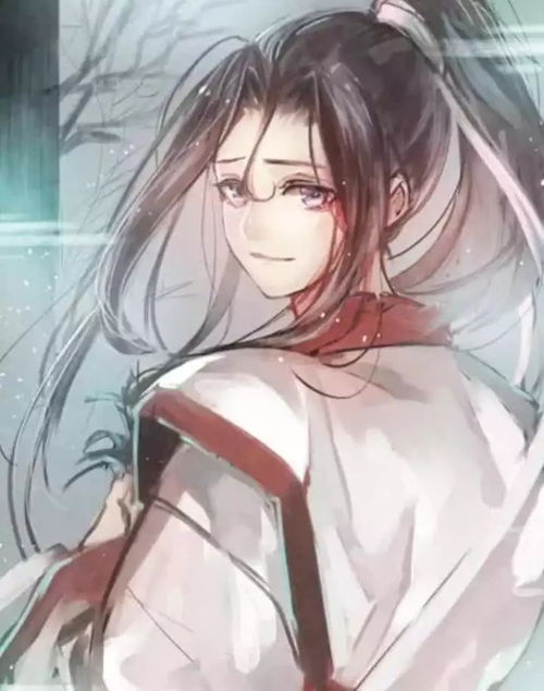  魔道祖师人物头像,本是翩翩少年郎,只怪姓错了温