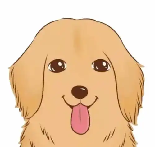  狗撞伤人,不能免责