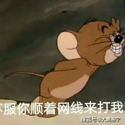  洛宁一男子抖音对交警发表不正当言论,来看看后果