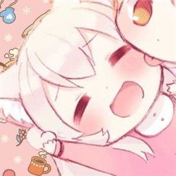  09.12新品解析