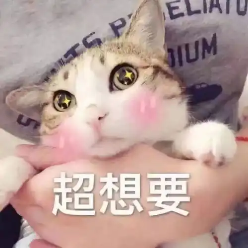 表情包情侣头像猫猫