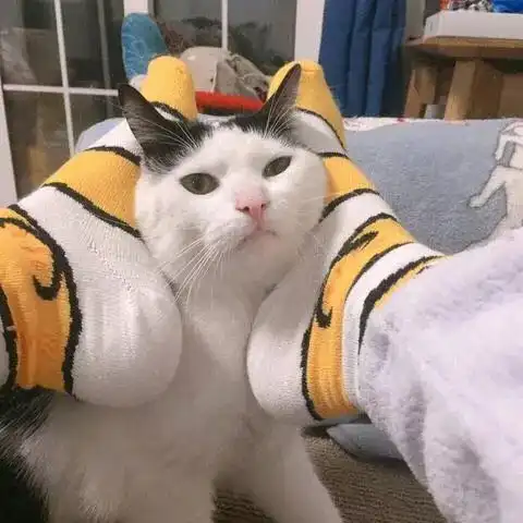 情侣猫头像超萌一对猫耳