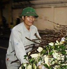  地位的象征争着戴绿帽子的越南男人