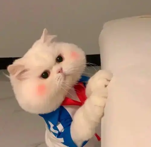  背景图记得把普通的日子过得浪漫一些