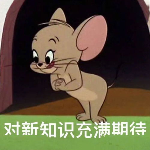  研会速递考研复试经验分享
