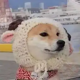  抖音超火的十大情侣头像