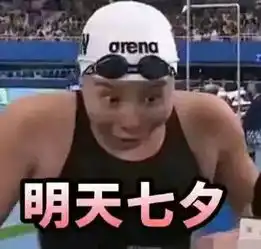  跳水女表情包中国
