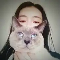  猫狗情侣头像超萌版微信头像图片大全