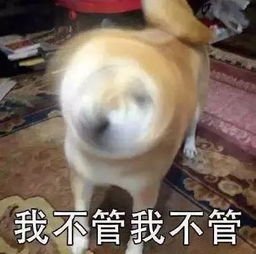  上虞男子给女孩发520红包结果竟引出一起特大诈骗案...