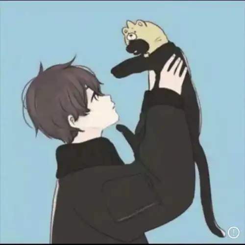  举着猫的情侣头像求女图