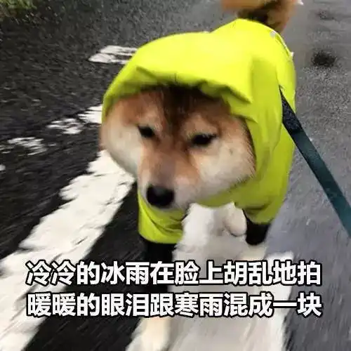  伊周素人造型看了这对小情侣我也想恋爱了