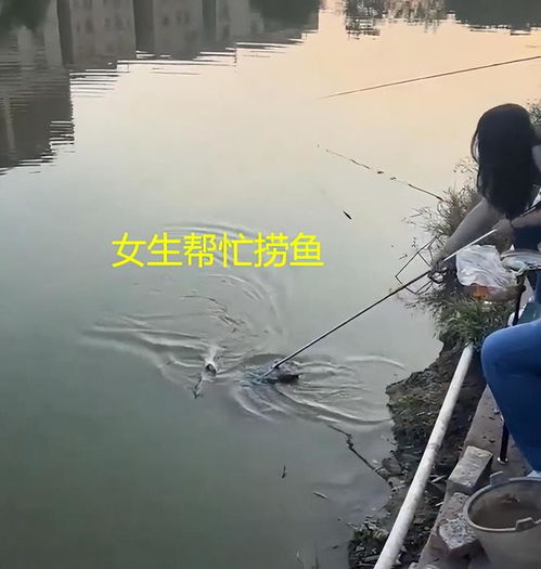  难怪我老公爱钓鱼广东男子钓鱼喊8个女生作伴,女生还帮忙捶背
