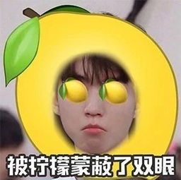  人类的本质都是柠檬精