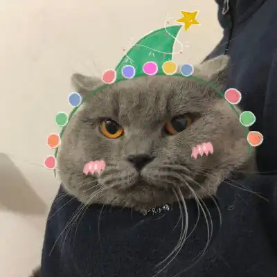  搞笑萌宠