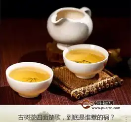  古树茶四面楚歌,到底是谁惹的祸