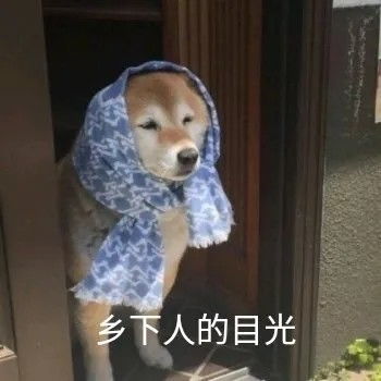  沙雕表情包我们女孩子想要的就必须搞到手