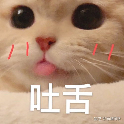  有什么少女心爆棚的好物推荐吗