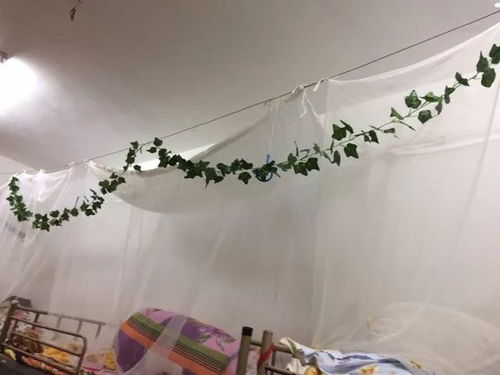  初阳雅阁丨风采展示第一弹