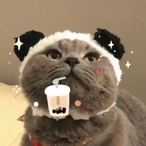 小猫情侣头像超萌小狗