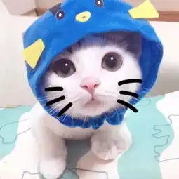  100张个性头像