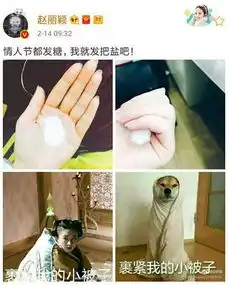  赵丽颖情人节不撒糖反撒盐补刀王名不虚传