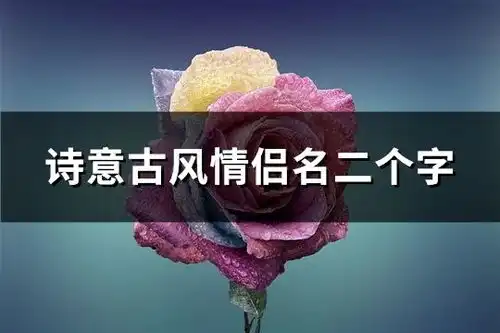  诗意古风情侣名二个字共130个